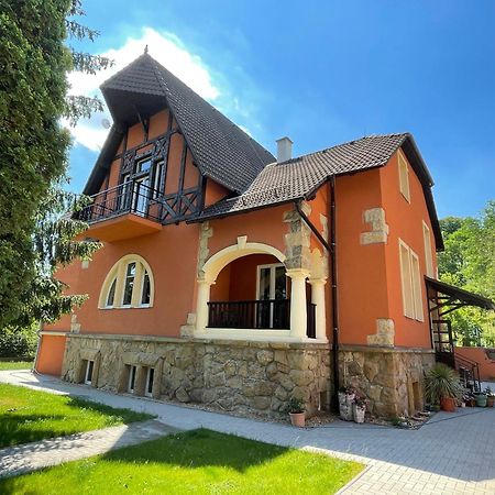 Penzion Villa Amelie Mladá Boleslav エクステリア 写真