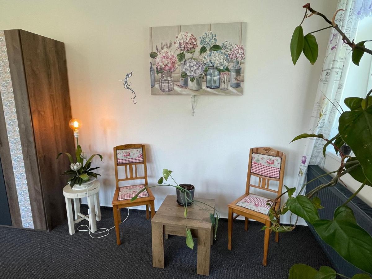 Penzion Villa Amelie Mladá Boleslav エクステリア 写真