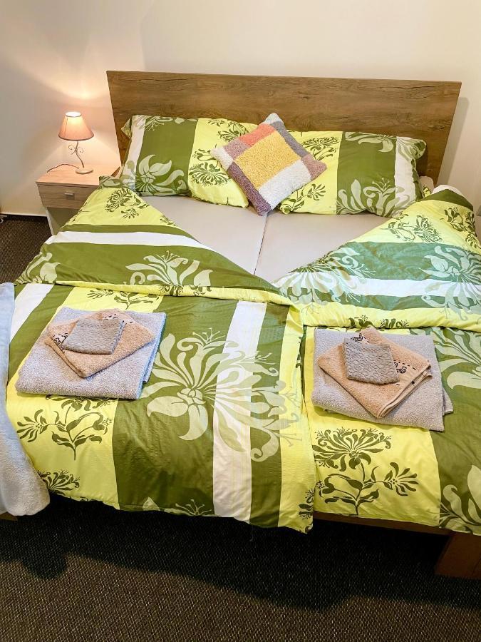 Penzion Villa Amelie Mladá Boleslav エクステリア 写真