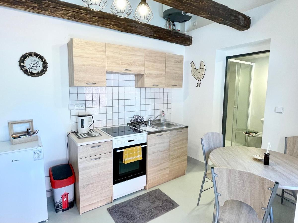 Penzion Villa Amelie Mladá Boleslav エクステリア 写真