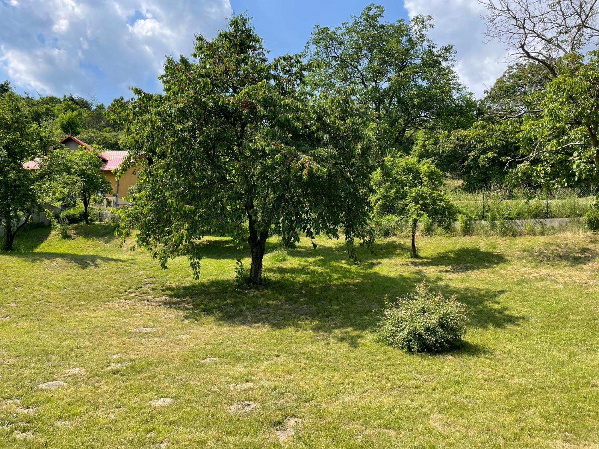 Penzion Villa Amelie Mladá Boleslav エクステリア 写真